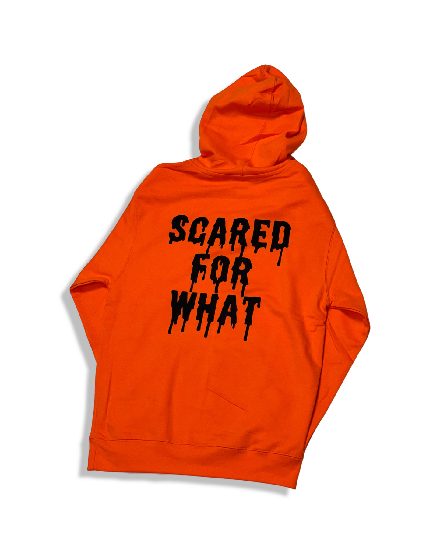 *Scared 4 What* Hoodie